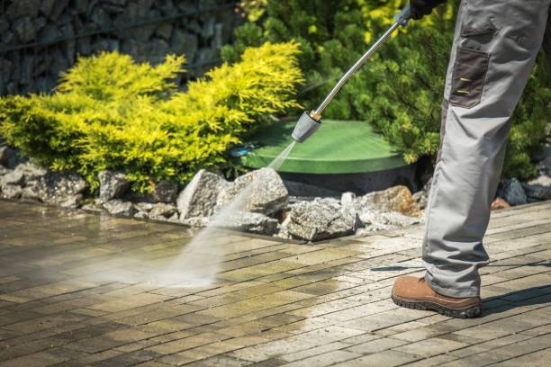 Best Fence Cleaning  in Hillsboro, ND
